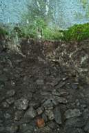 coolross 1205.JPG